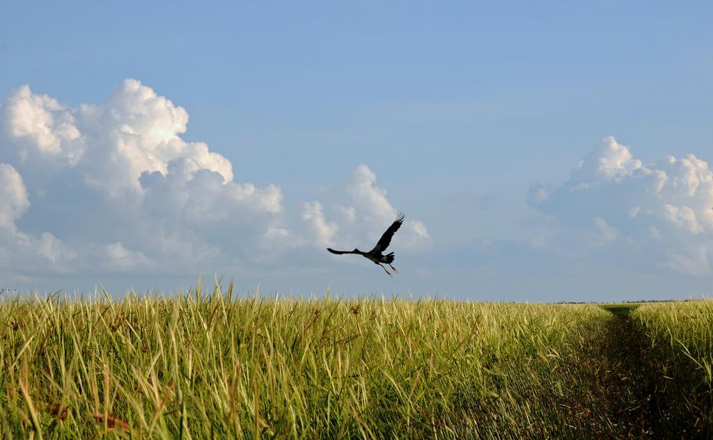 Bamurru Plains Point Stuart Buitenkant foto