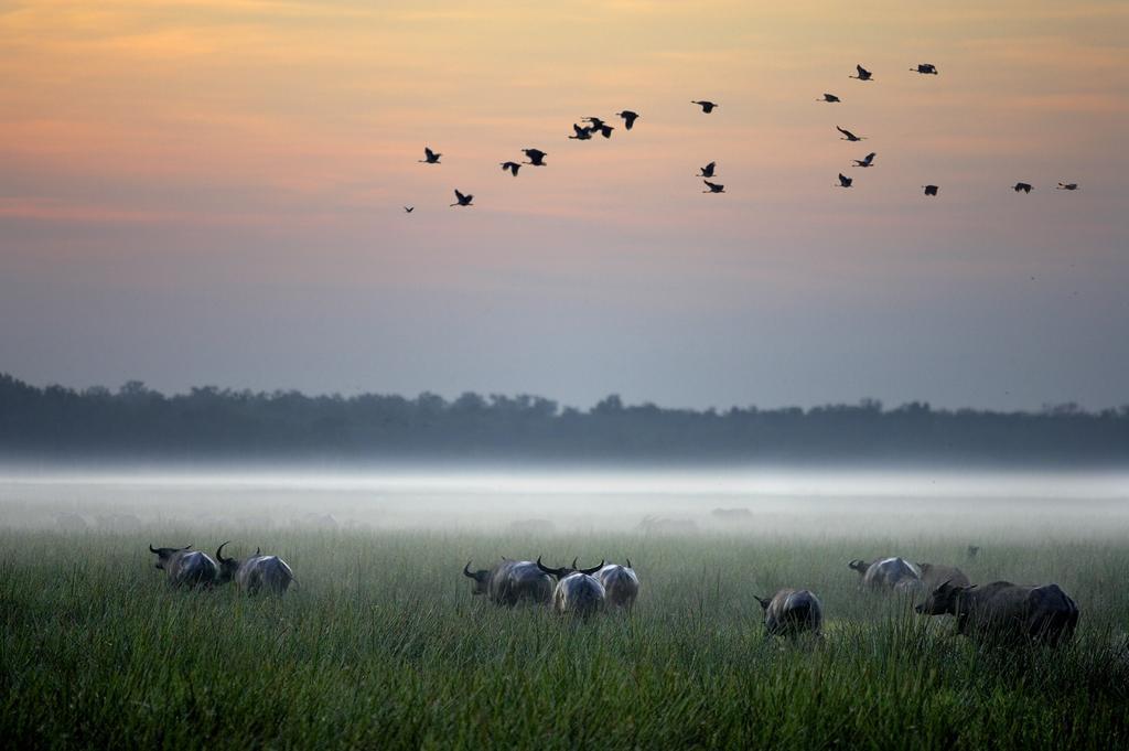 Bamurru Plains Point Stuart Buitenkant foto