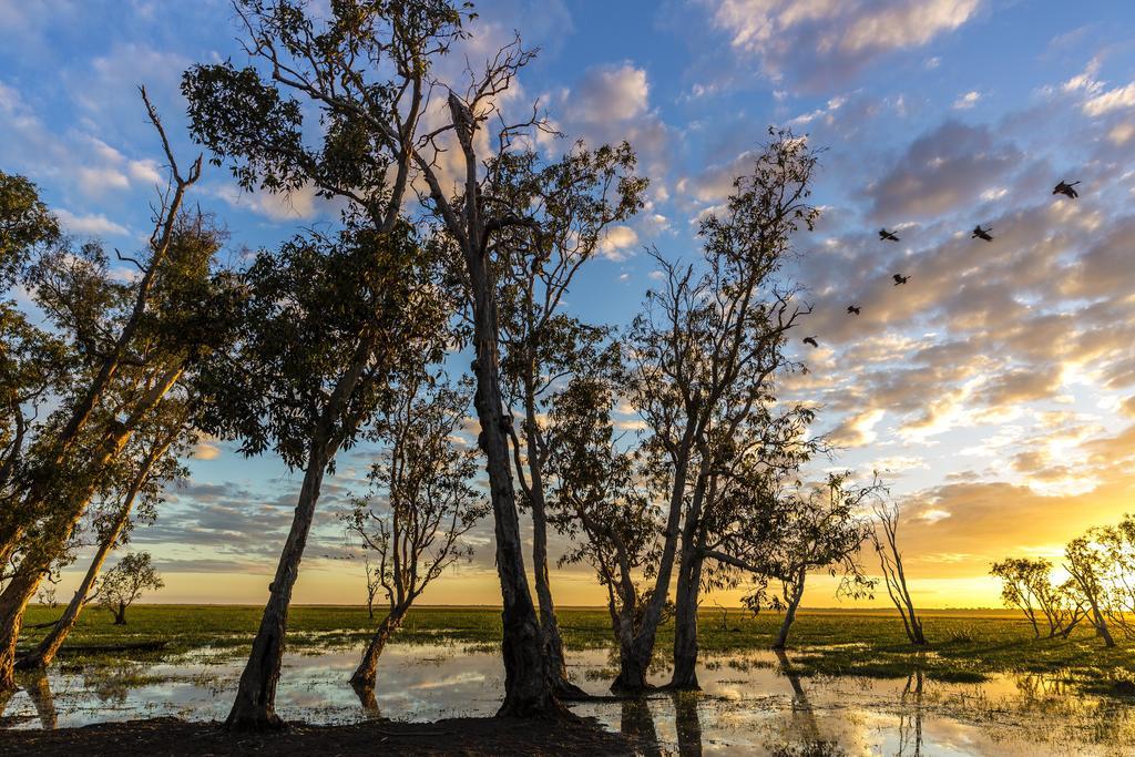 Bamurru Plains Point Stuart Buitenkant foto