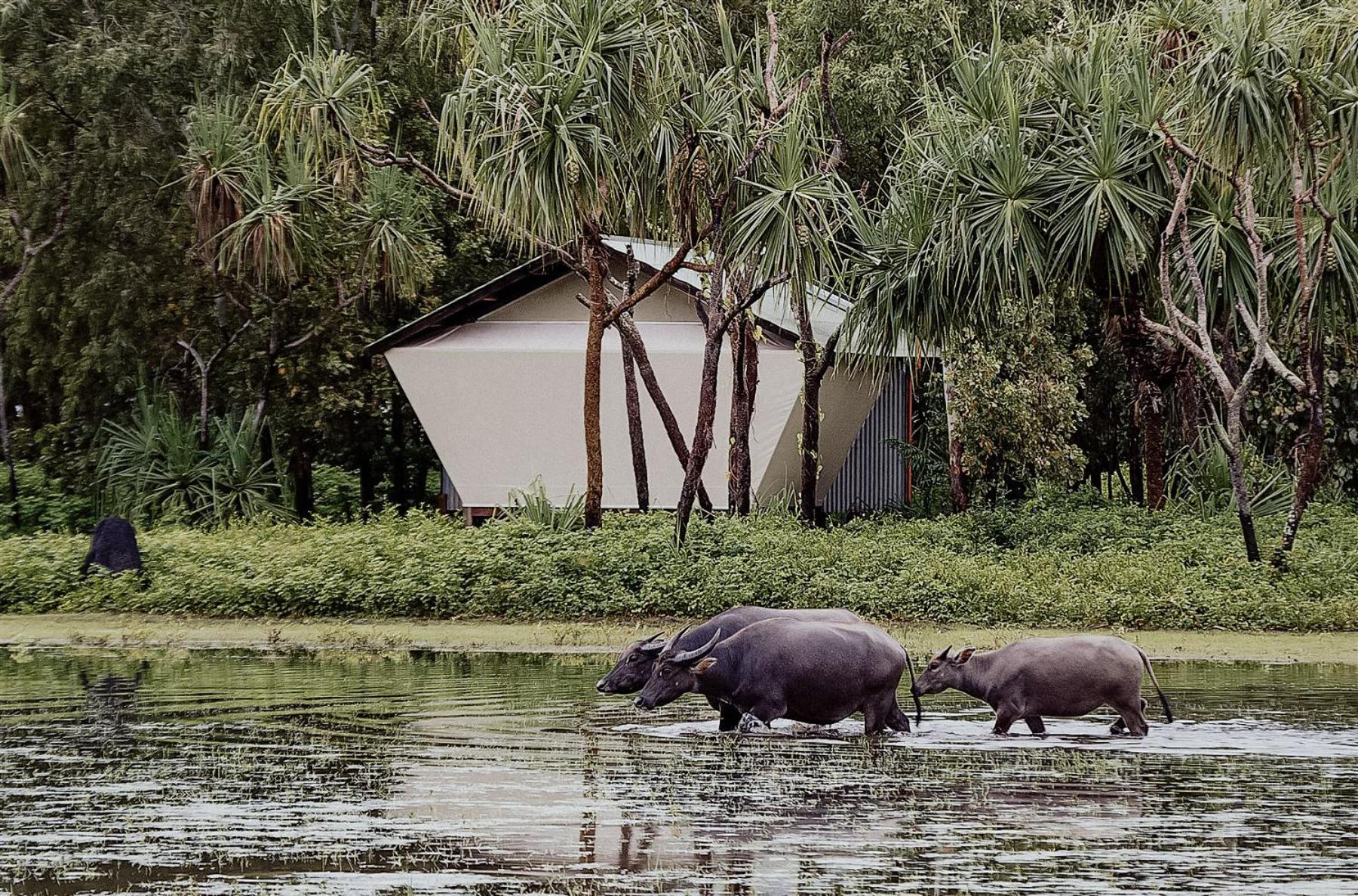 Bamurru Plains Point Stuart Buitenkant foto